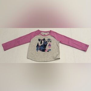 Under Armour Toddler Girls Raccoon Raglan Tee Pink & Gray Size 2T